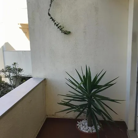 Appartamento Apartamento Pinhal Da Foz Esposende